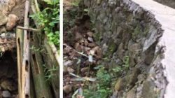 Skandal Desa Gunamekar! Dana Desa Milyaran Diduga Diselewengkan, Jembatan Rawayan Mangkrak Tanpa Perbaikan Skandal Desa Gunamekar! Dana Desa Milyaran Diduga Diselewengkan, Jembatan Rawayan Mangkrak Tanpa Perbaikan Sekand 1.8M Irigasi di Desa Guna Mekar