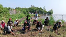 Mageri Segoro: Gubernur Jateng Ajak Warga Hijaukan Pesisir Lewat 10.000 Bibit Mangrove