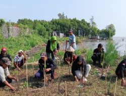 Mageri Segoro: Gubernur Jateng Ajak Warga Hijaukan Pesisir Lewat 10.000 Bibit Mangrove